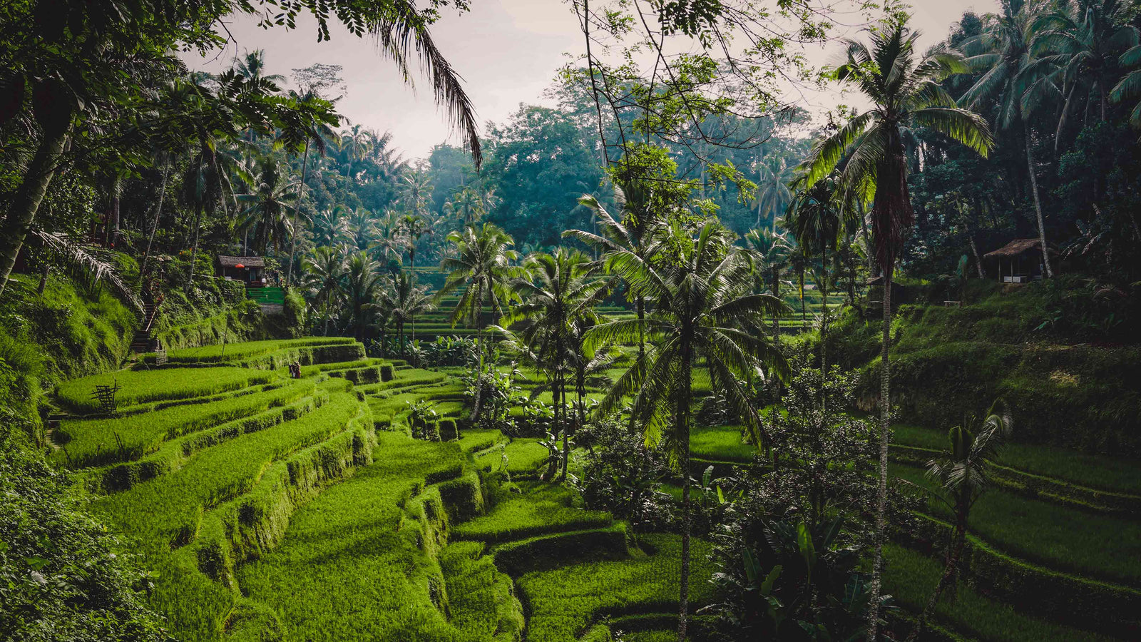 rondreis bali